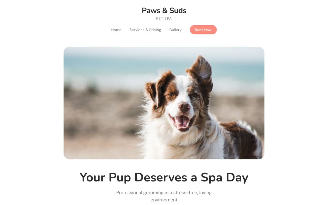 PAWS & SUDS PET SPA